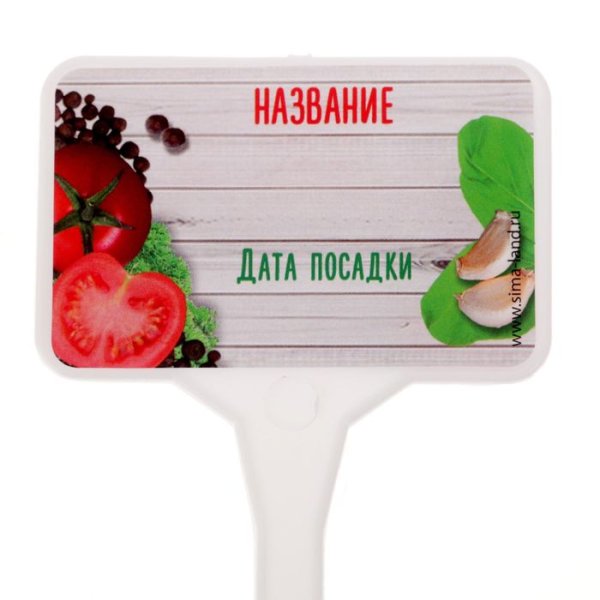 Этикетки для рассады шаблон