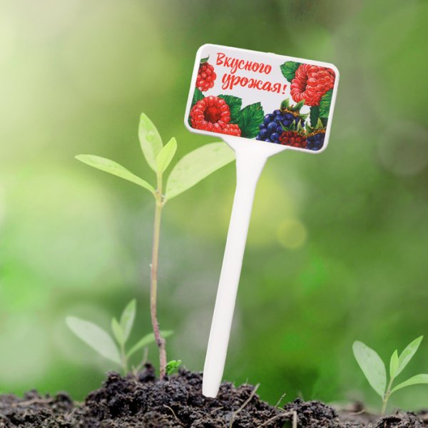 Таблички для огорода