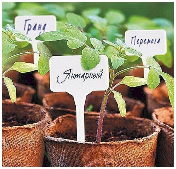 Бирка-петелька для маркировки растений