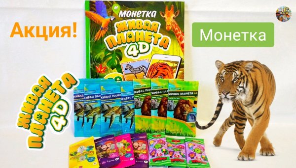 Монетка наклейки Живая Планета