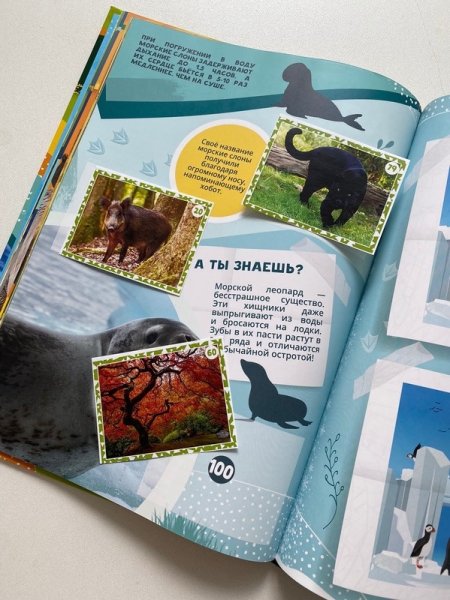 Карточки Черепашки ниндзя из 90-х