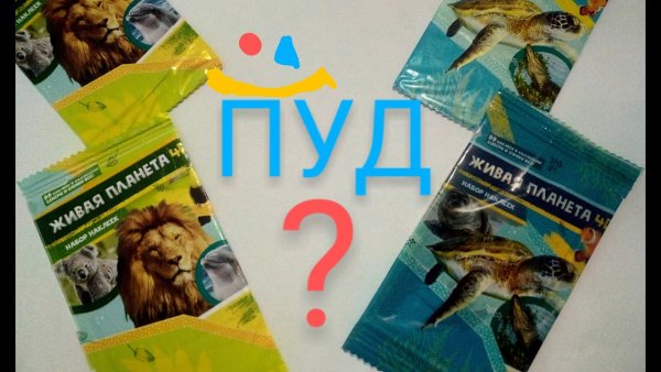 Альбом Живая Планета 4d