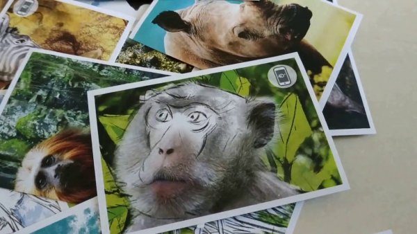 Живая Планета игра