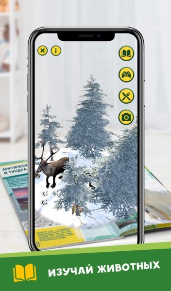 Коллекция Дино Дикси