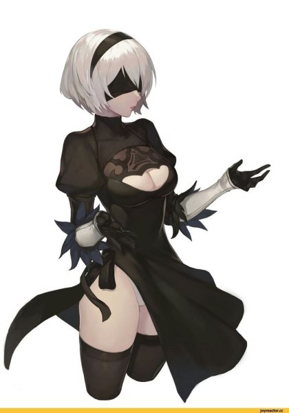 Леотард 2b NIER Automata