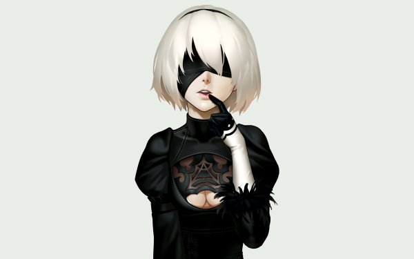 2b NIER