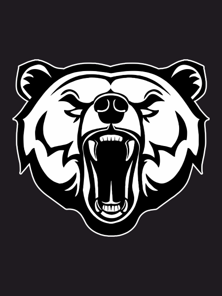 Автонаклейка медведь