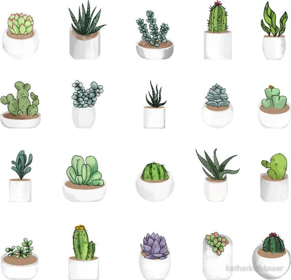 Наклейки растения