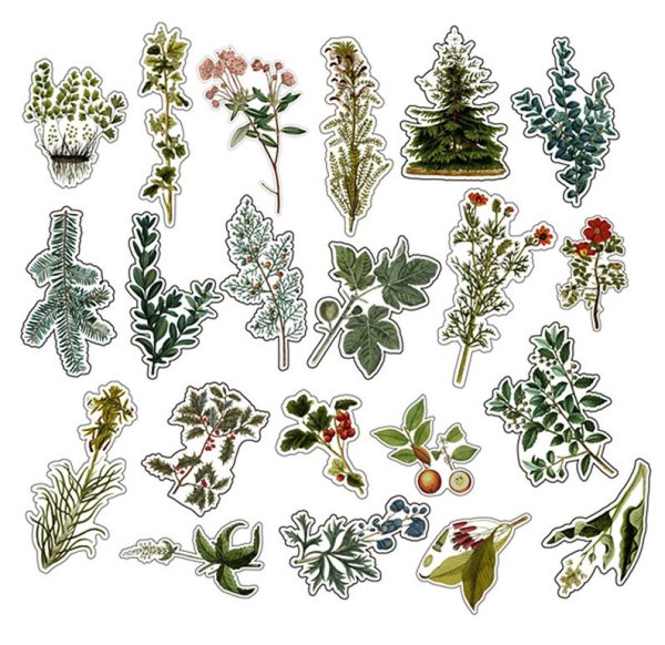 Наклейки растения