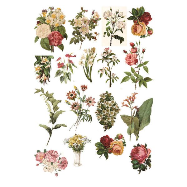 Стикеры Суккуленты