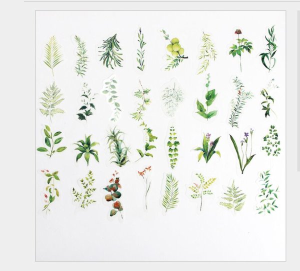 Стикеры растения