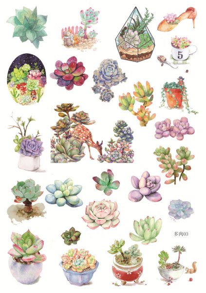 Цветы в горшках для скетчбука