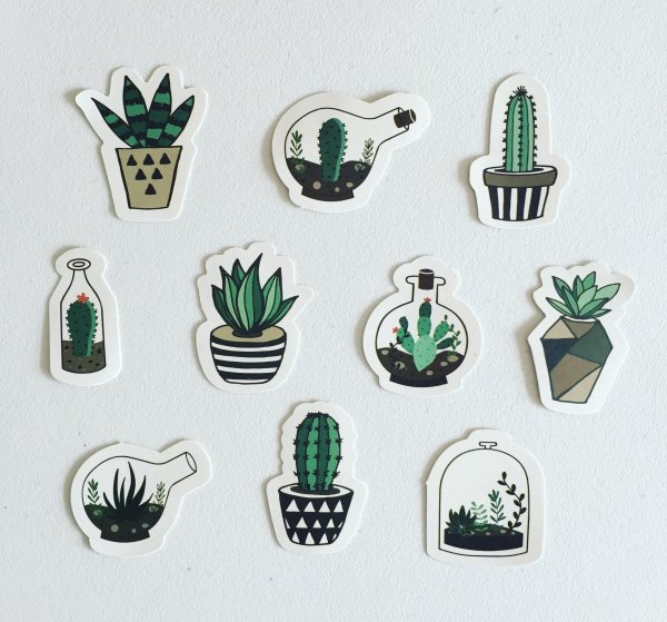 Растения для скрапбукинга