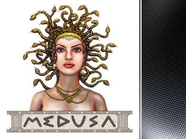 Голова медузы Горгоны вектор