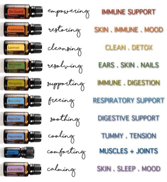 Шиповник этикетка