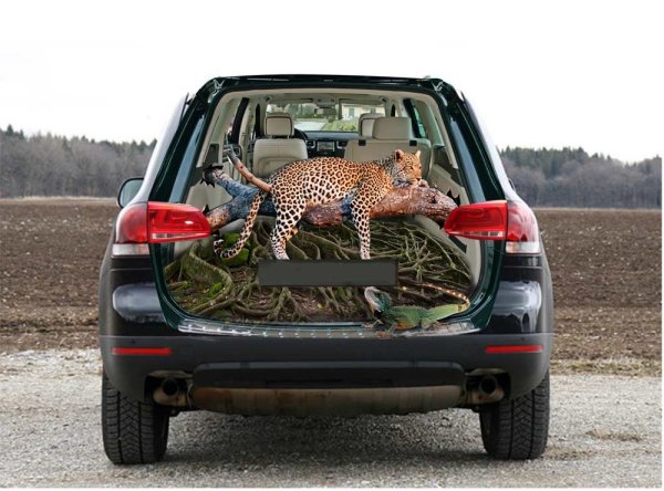 Виниловые наклейки на авто