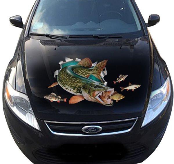 Наклейки на капот автомобиля