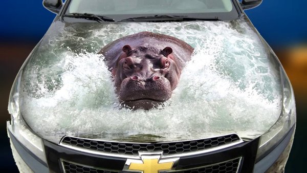 Аэрография Скорпион на авто