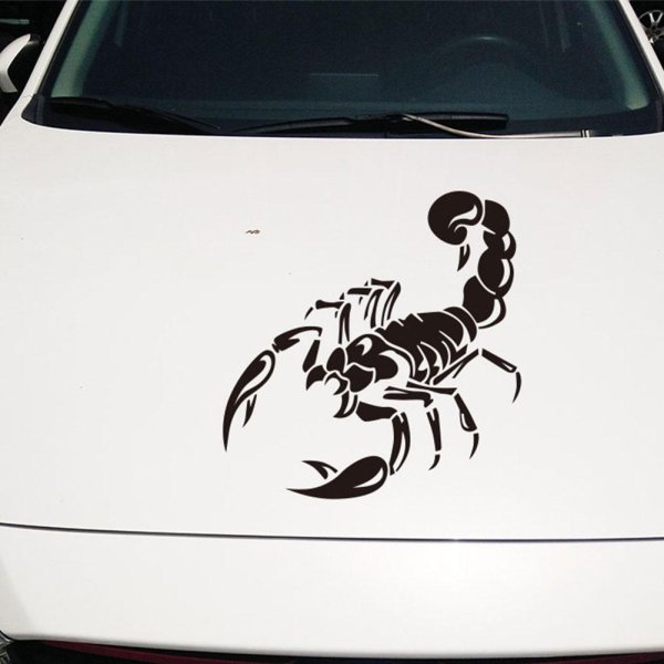 Наклейки на капот