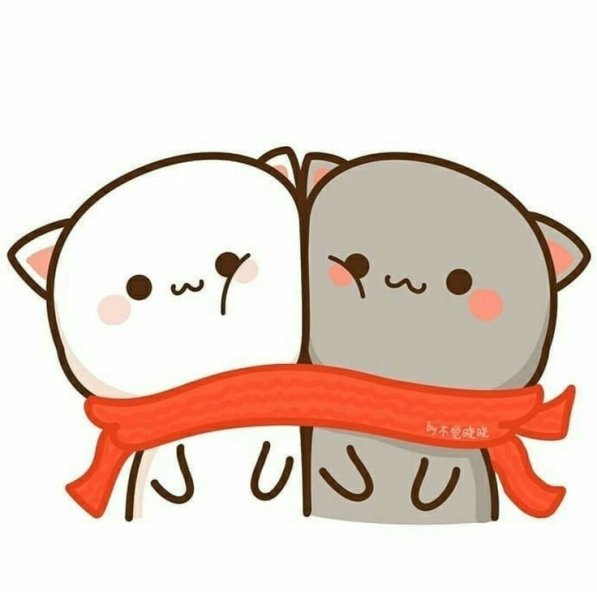 Кавайные котики любовь