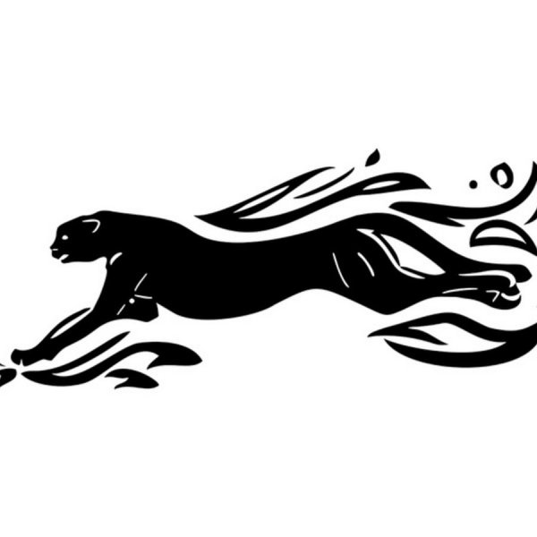 Трафареты на авто