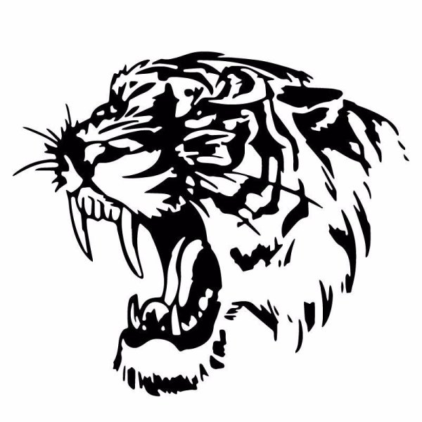 Винилография на авто снежный Барс