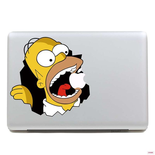 Кошка и ноутбук