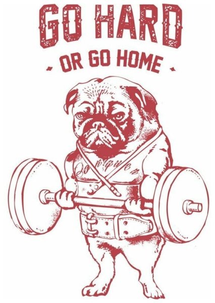 Go hard or go Home Татуировка