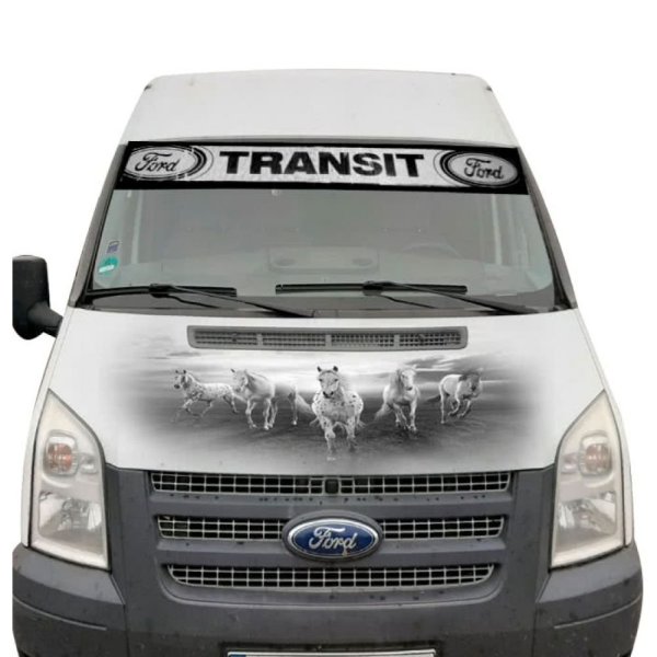 Форд Транзит микроавтобус капот