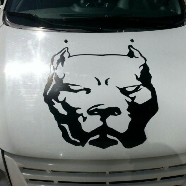 Аэрография на Газель