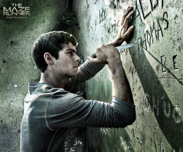 Maze Runner Thomas