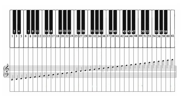 Октавы на синтезаторе 61 клавиша