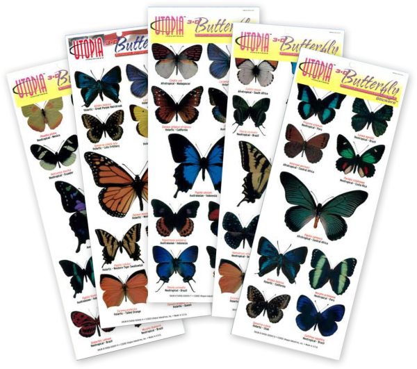 Наклейки бабочки и птицы для печати