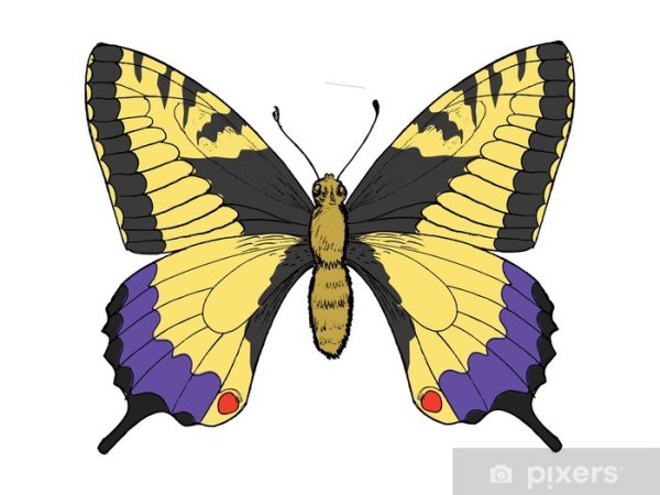 100 Стикеры Махаон