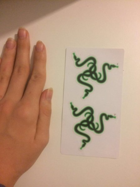 Наклейка рейзер