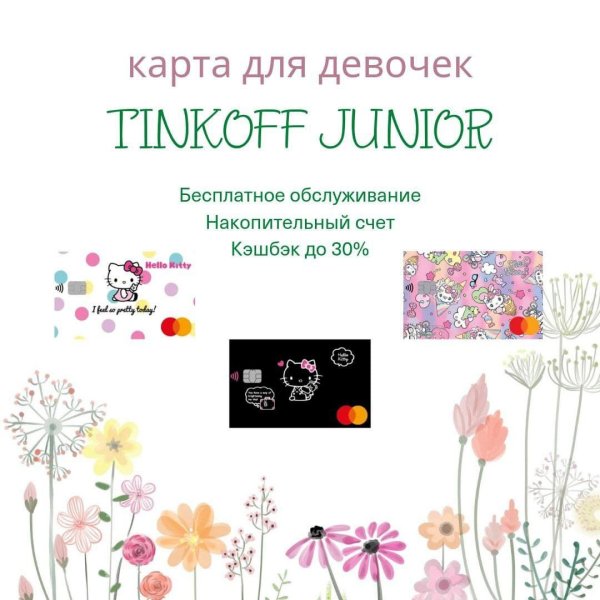 Тинькофф Блэк мир вид сзади