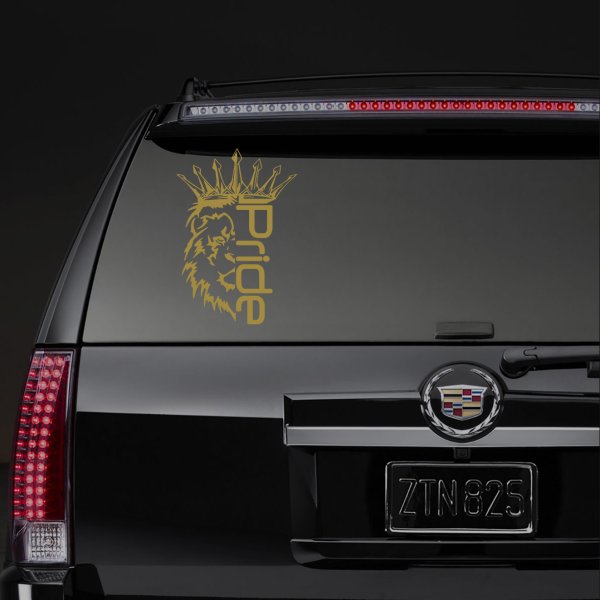 Винил Прайд