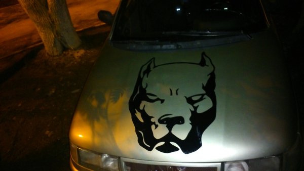 ВАЗ 2110 питбуль