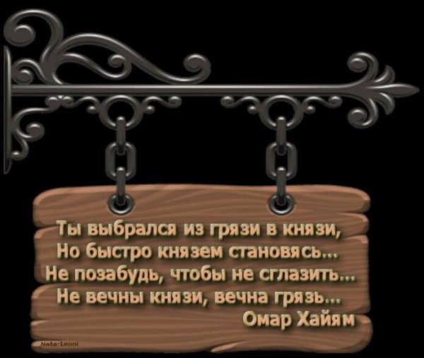 Из грязи в князи деньги