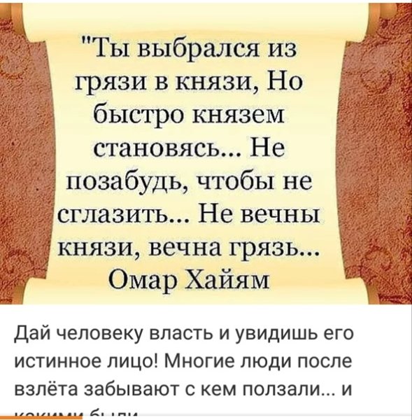 Высказывания про Волков