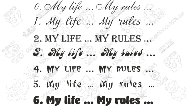 My Life my Rules надпись