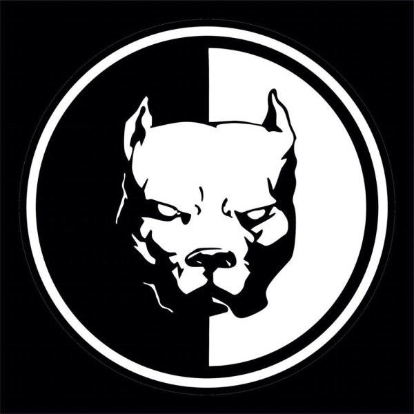 Значки питбуль смотра