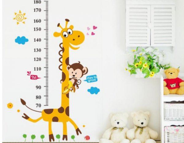 Кошки. Ростомер