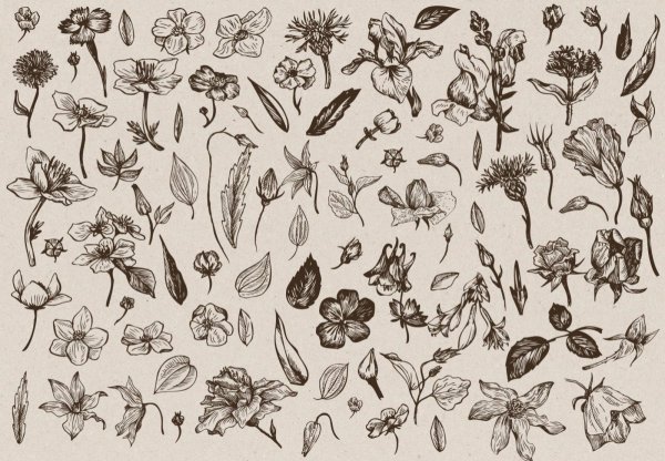 Стикеры для распечатки черно белые