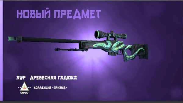 Скин КС АВП древесная гадюка