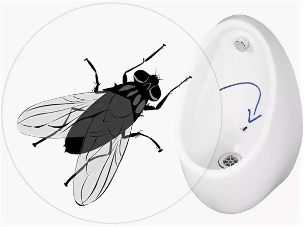 Писсуар с мухой