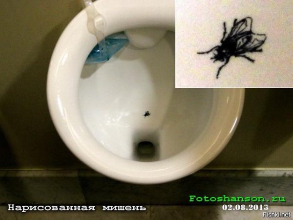 Муха в писсуаре Амстердам