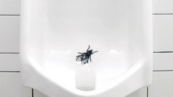 Муха наклейка