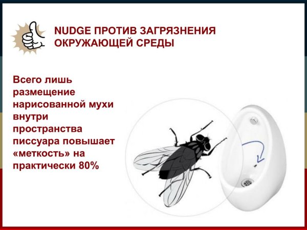 Писсуар с мушкой