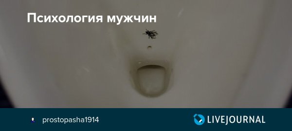 Мишень для унитаза